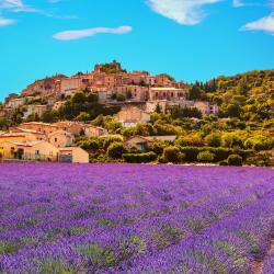 Provence 4 penginapan serba lengkap