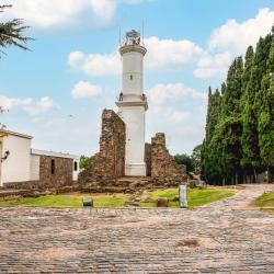 Colonia 3&nbsp;