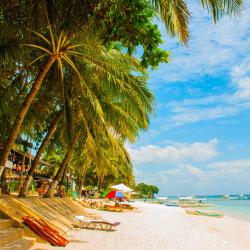 Bohol 52 