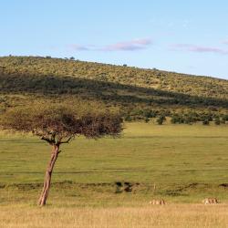 Maasai Mara National Reserve 10 sejururi all-inclusive