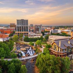 South Carolina 13 