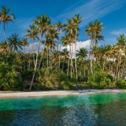 Raja Ampat  (3)