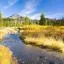 Cheap car rental in Willamette Valley