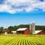 Cheap car rental in Midwest