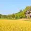 รถเช่าราคาถูกในภาคตะวันออกเฉียงเหนือ