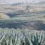 Location de voiture pas chère dans la région : Jalisco
