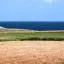 Autonoleggio economico in zona Salento