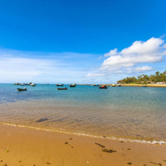 Wale beobachten am Praia do Forte