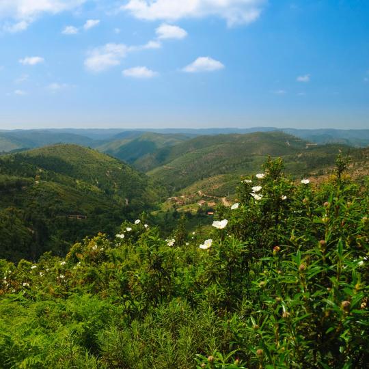 Pešia turistika