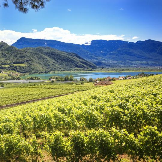 La strada del vino dell'Alto Adige