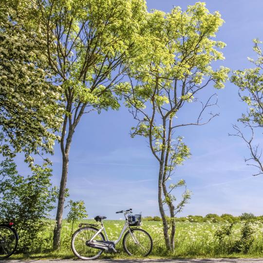 Bicycle holiday on Bornholm