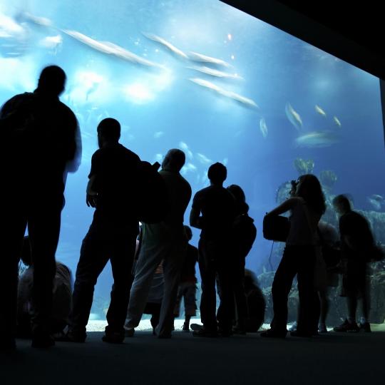 Oceanarium Nordsøen (del Mare del Nord)