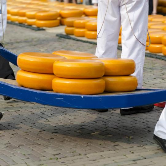 Cheese market in Alkmaar