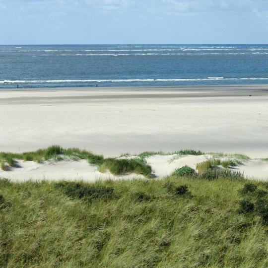 特塞爾島衝浪學校（Surfschool Texel）