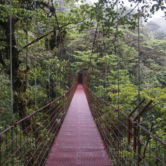 Nevelwoud-reservaat Monteverde