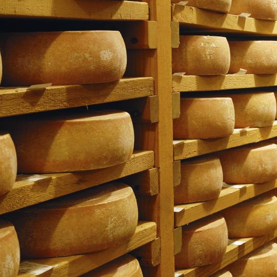 Tours of raclette cheese factories