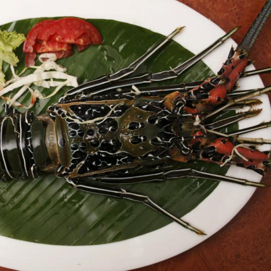 Cuisines of Candolim