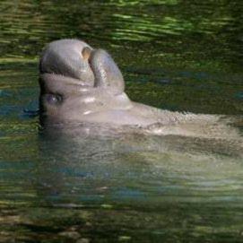 Parc de Blue Springs