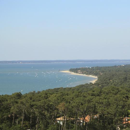 Viatge en vaixell per la badia d'Arcachon