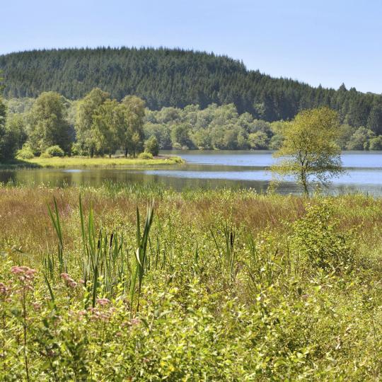 Morvan regionala naturpark