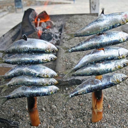 Grillade sardiner i La Carihuela