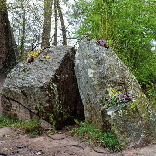 Bosque de Brocéliande