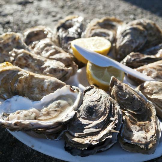 Ostras de Cancale