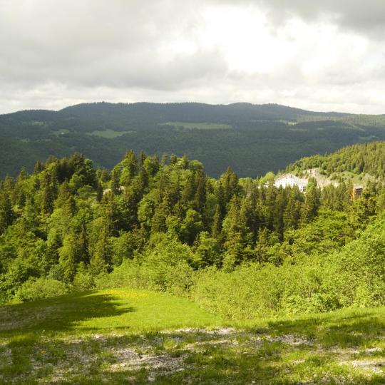 Réserve Naturelle de la Haute Chaîne du Jura