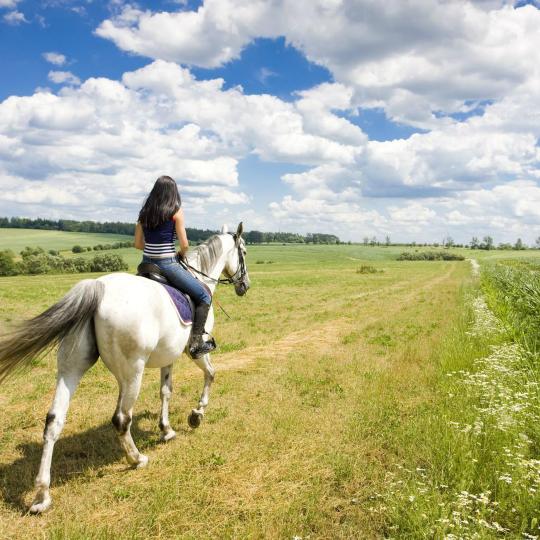 Paseos a caballo en el parque del Marquenterre