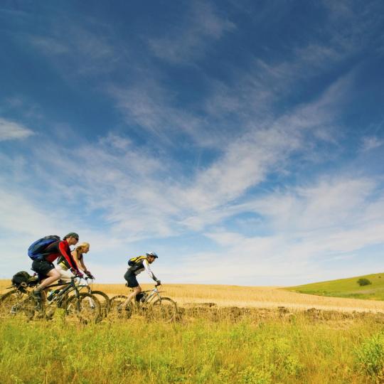 Vendées 1 000 km av cykelvägar