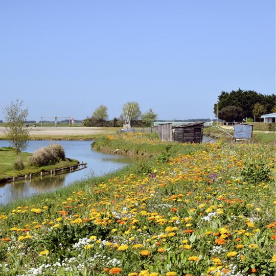 Ostrov Noirmoutier