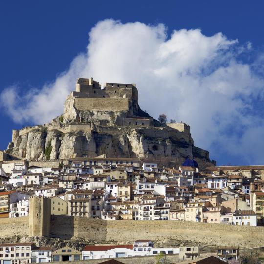 Morella