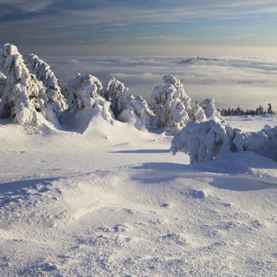 Braunlage: hemel voor ski- en spaliefhebbers