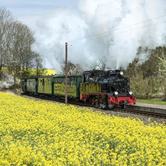 Chug along the Rasender Roland railway