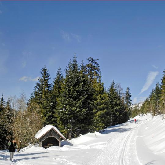 Für Winterspaß die Skier umschnallen