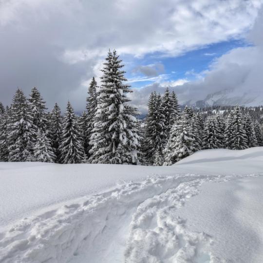 Caminar con raquetas de nieve en los Dolomitas