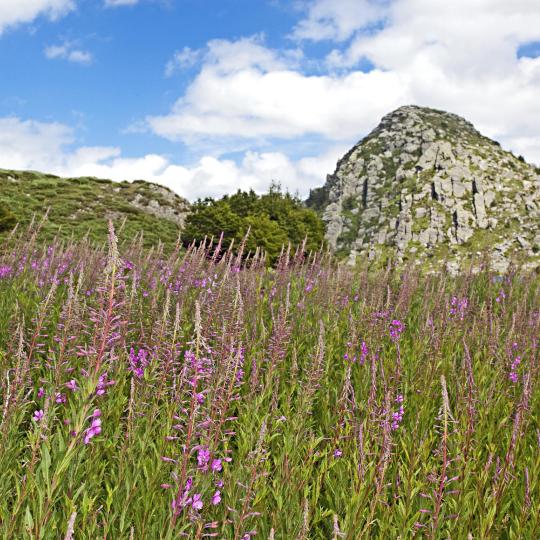 Klífðu fjallið Mont Gerbier-de-J