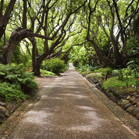 Jardín Botánico de Kirstenbosch