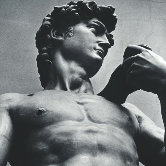 Statue de David à la Galerie de l'Académie