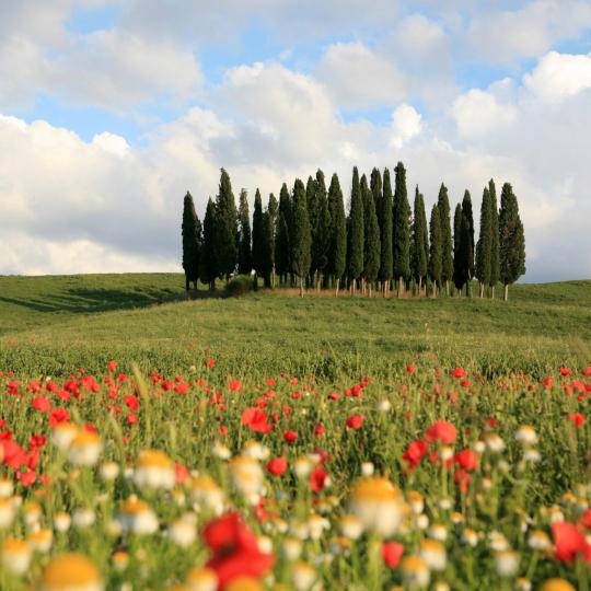 UNESCO-protected Val d’Orcia Valley