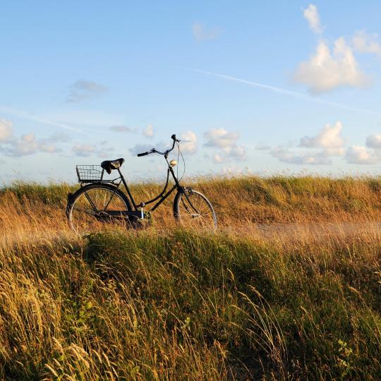 En bicicleta por las islas de Frisia oriental