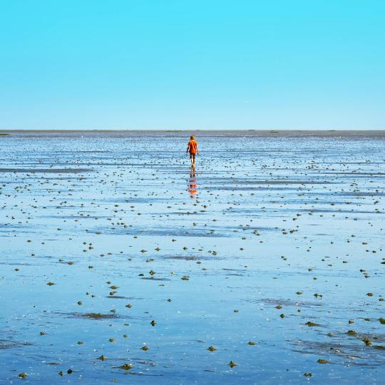 Mudflat hiking along the North Sea coast