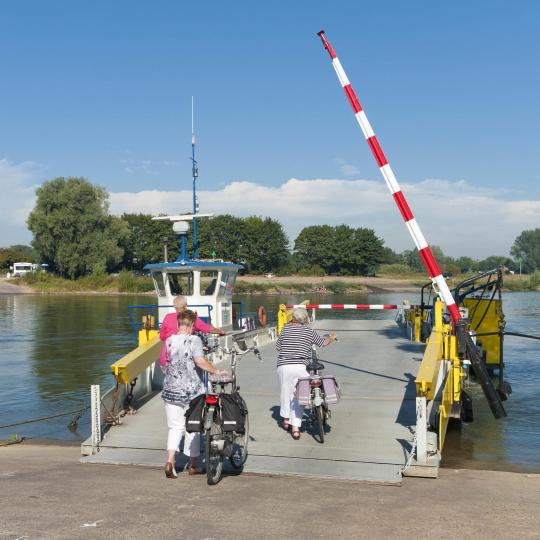River Leda's hand-towed ferry