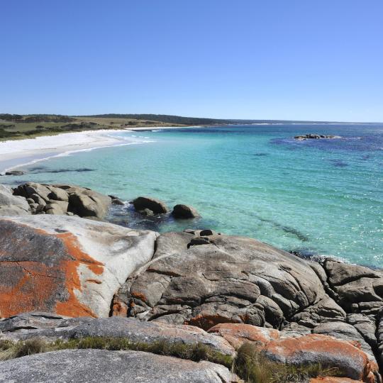 The Bay of Fires