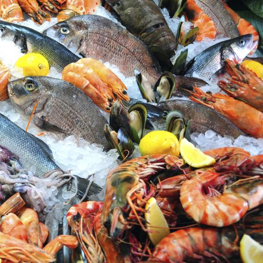 Pescado y marisco fresco en Tasmania