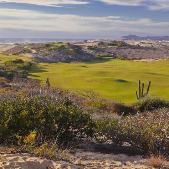 Campo de golf Barnbougle Dunes