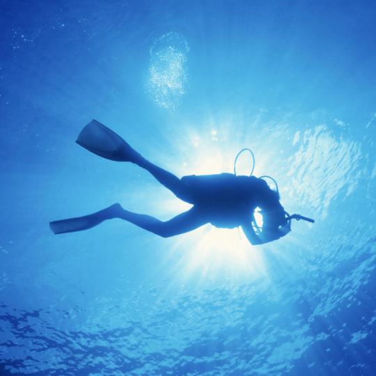 Diving in Mazarrón Bay