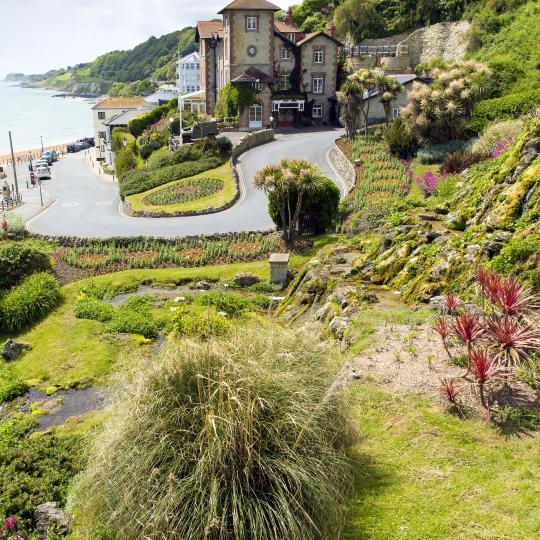 Jard&iacute;n Bot&aacute;nico de Ventnor