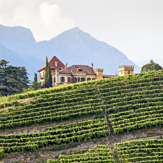 The South Tyrolean Wine Road