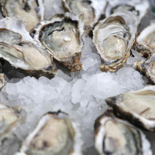 Oysters of Marennes-Oléron